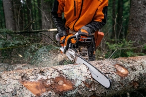 Stihl motorsag